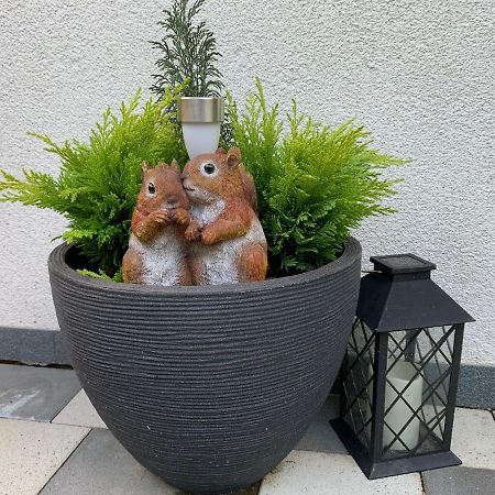 Apartment'S Haus Tegischer ノイシュティフト・イム・シュトゥーバイタール エクステリア 写真